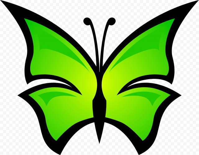 green butterfly png background