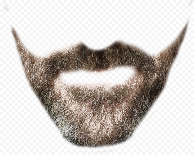 beard editor, Beard, Beard, web Design, fashion,