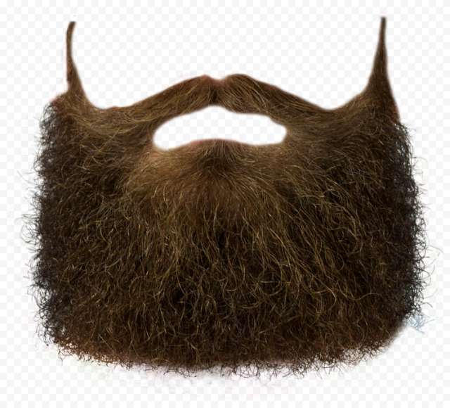 brown beard, World Beard and Moustache Championships
