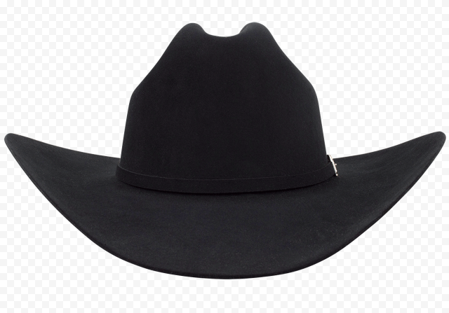 Fedora Cowboy hat Stetson, Hat, hat, cowboy, cowboy Hat