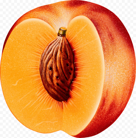 peach png image 2