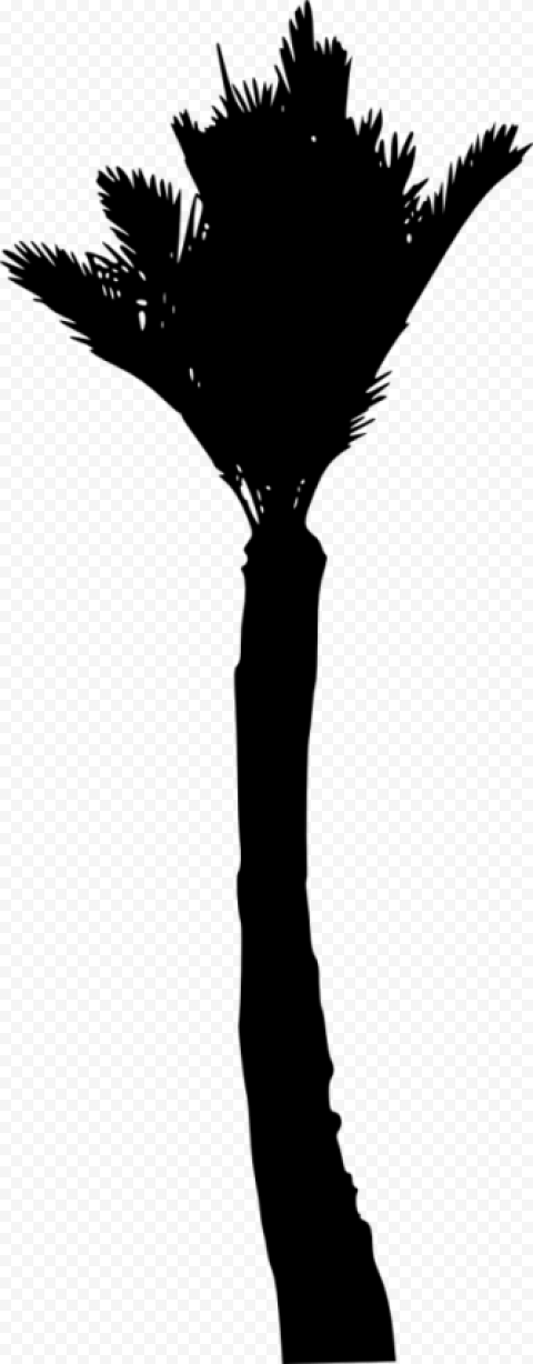 palm tree silhouette drawing clip art png