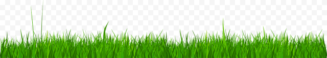Green grass, Wheatgrass, Grass lawn, cartoon Grass, grass, artificial Grass png