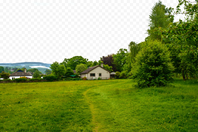 Green lawn grass, Lawn Grass Landscape Green, Suburb Green Grass Landscape, computer Wallpaper, grass, green Apple png