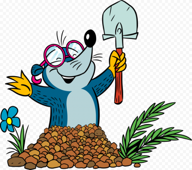 groundhog day cartoon palm tree plant for around the world