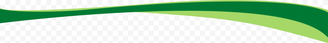 Vector Green Wave Transparent Background