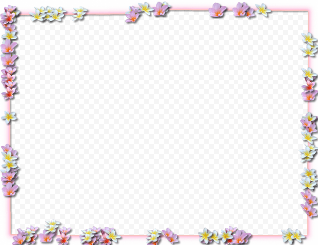 Flowers Border Frame PNG