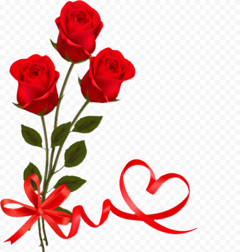 Love Valentines Day Rose Transparent PNG